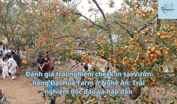 Đánh giá trải nghiệm check-in tại Vườn hồng Đại Huệ Farm ở Nghệ An: Trải nghiệm độc đáo và hấp dẫn